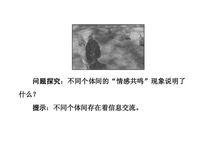生态系统的信息传递 从“鸣搜信息”看生命之间的无声对话